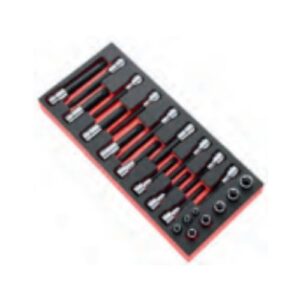 MODM.CHA Torx sockets - bit sockets, 6-point, Torx®, XZN®, foam module