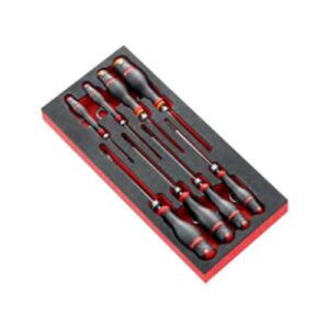 MODM.84TZJ6SLS Foam module for 6 "T" hex keys - SLS