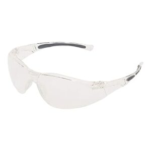 1015369 Clear Safety Glasses