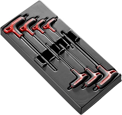 PL.TORX-A PLASTIC HEX KEY TRAY - TORX